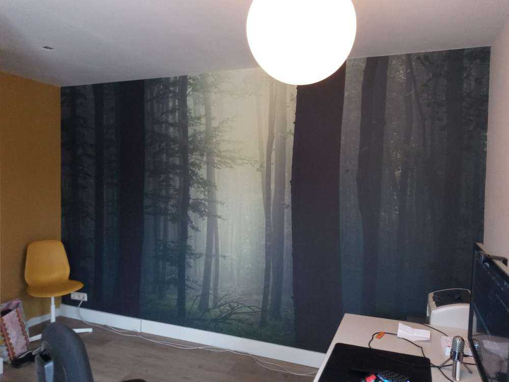 Rayon de soleil dans la forêt