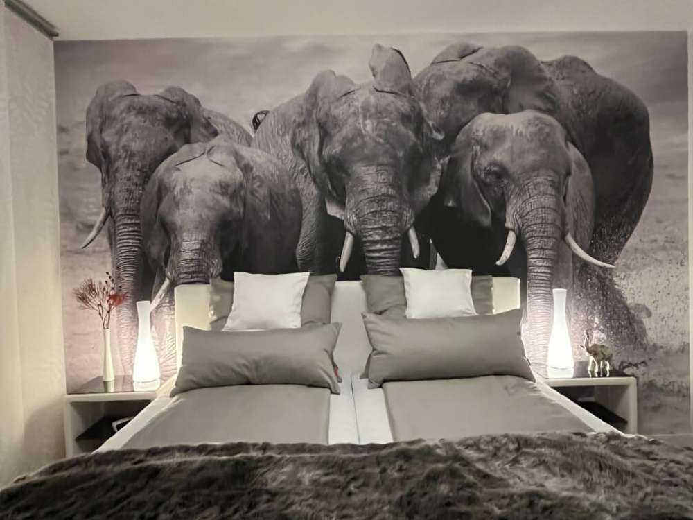 Troupeau d'éléphants