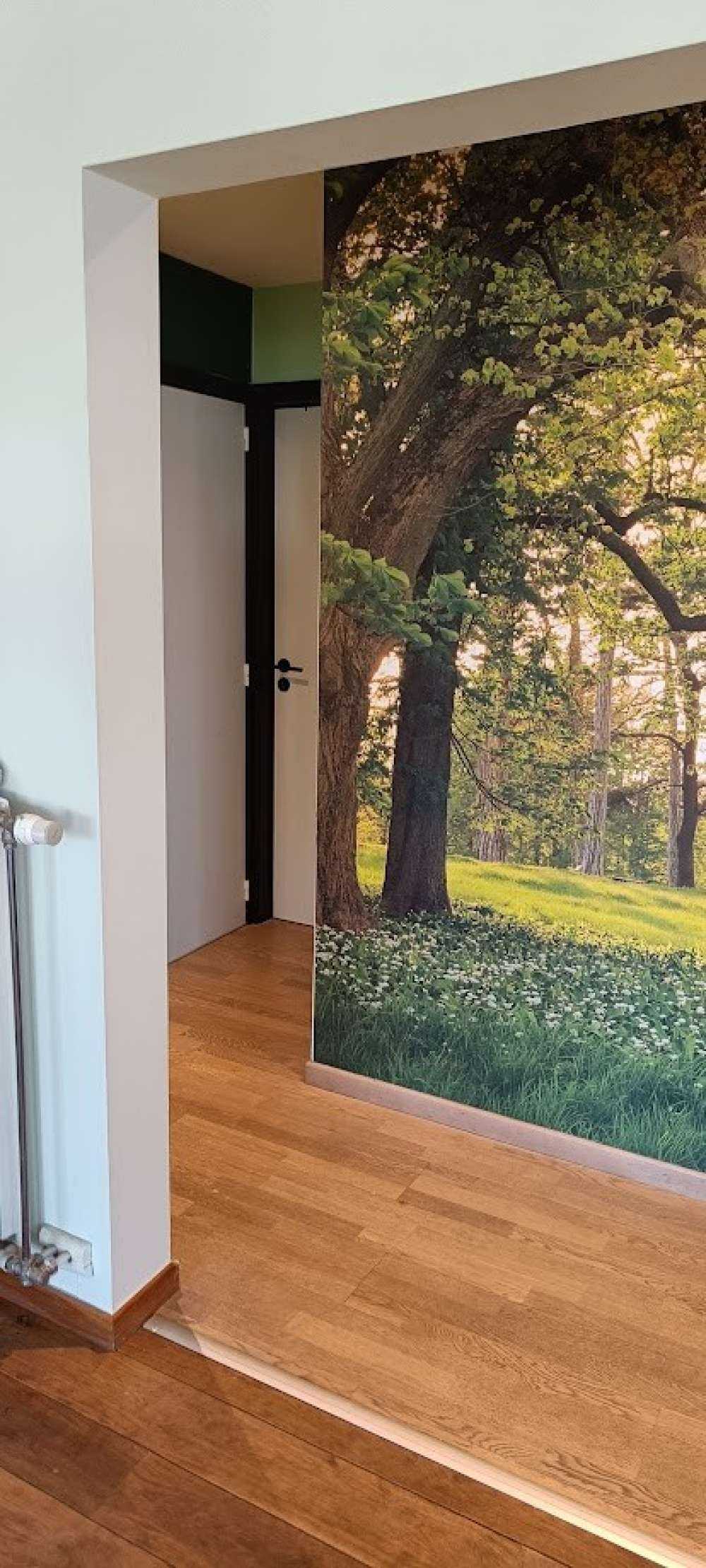 Espace ouvert dans la forêt