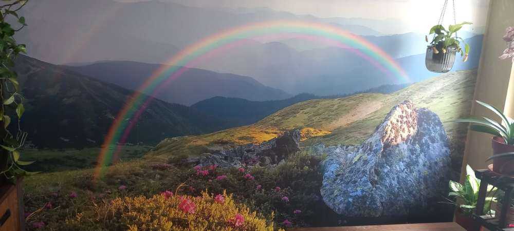 Paysage avec des fleurs