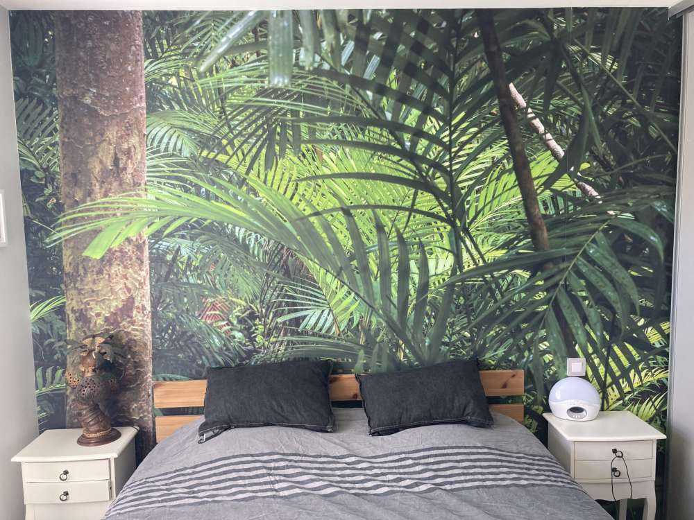 Forêt tropicale humide