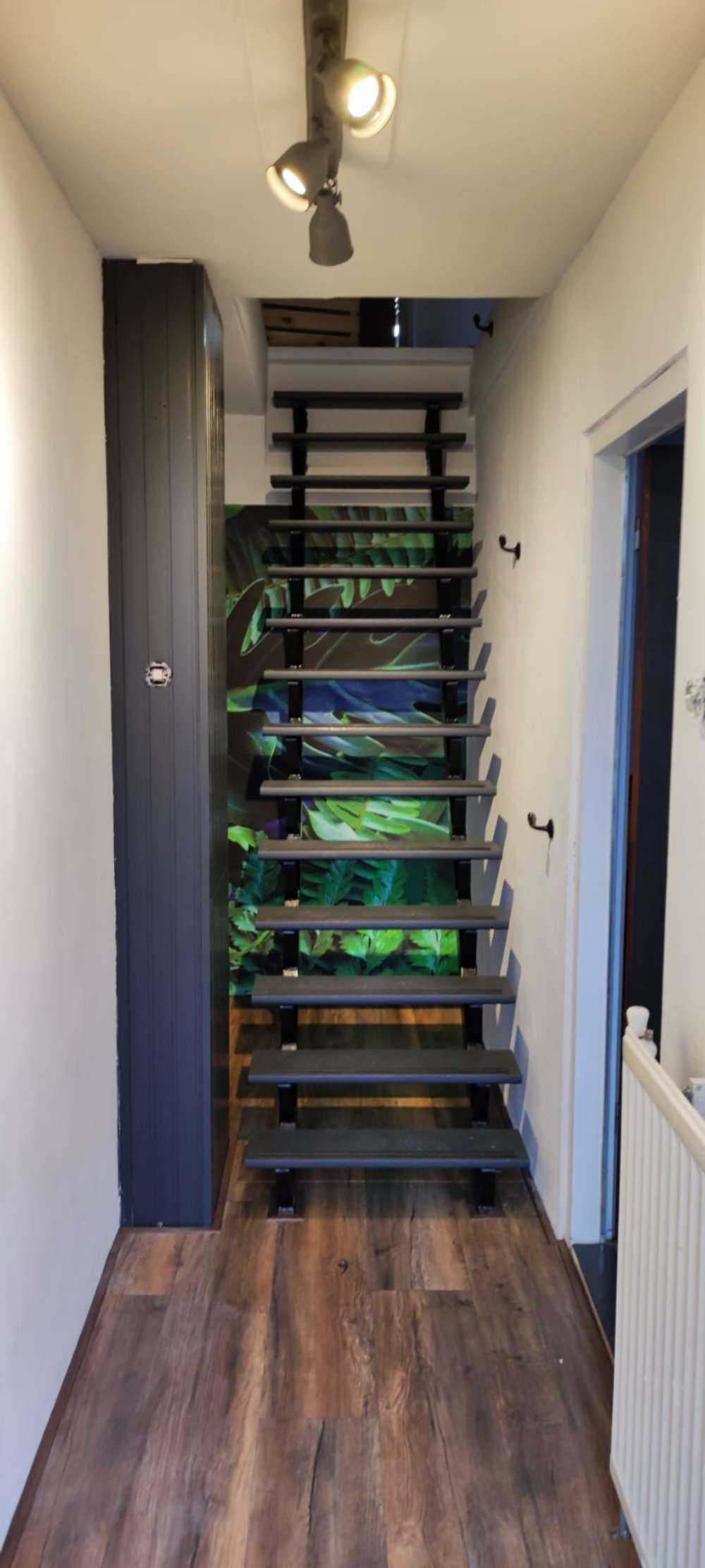 Feuilles de jungle vertes