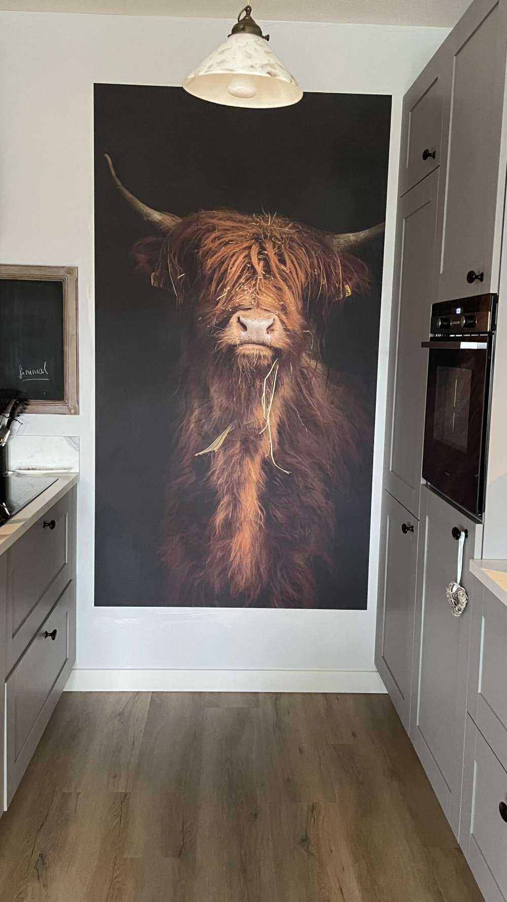 Portrait Scottish Highlander