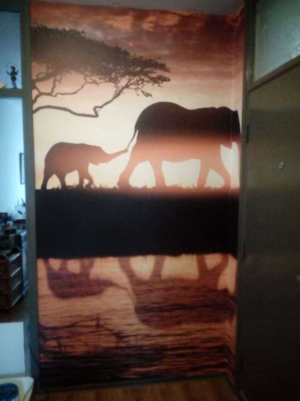 Les éléphants dans la savane