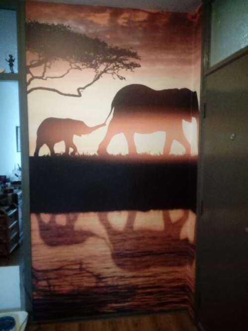 Les éléphants dans la savane