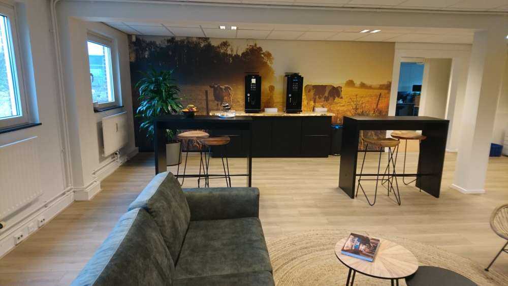 Vache au lever du soleil