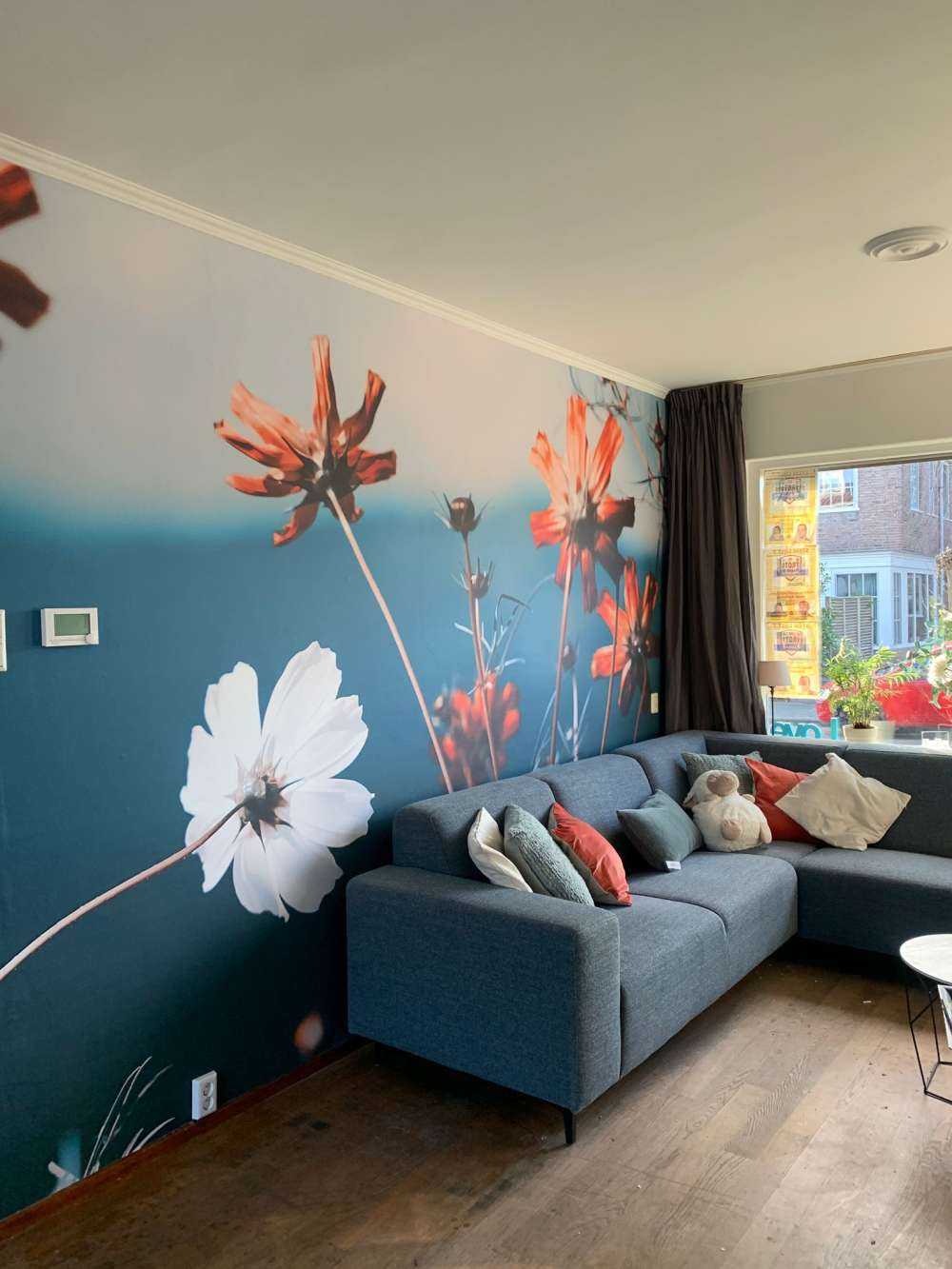 Le cosmos fleurit dans les champs