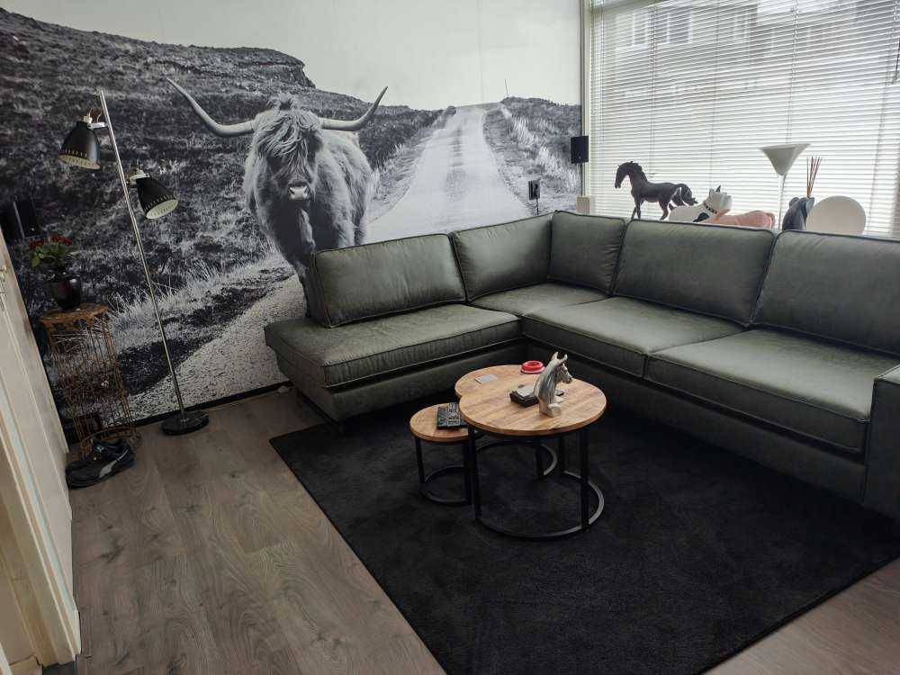 Le Highland écossais sur la route