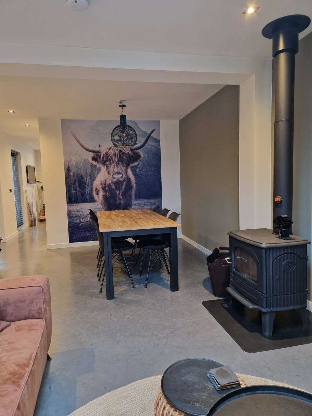 Le Highland écossais au bord de la forêt