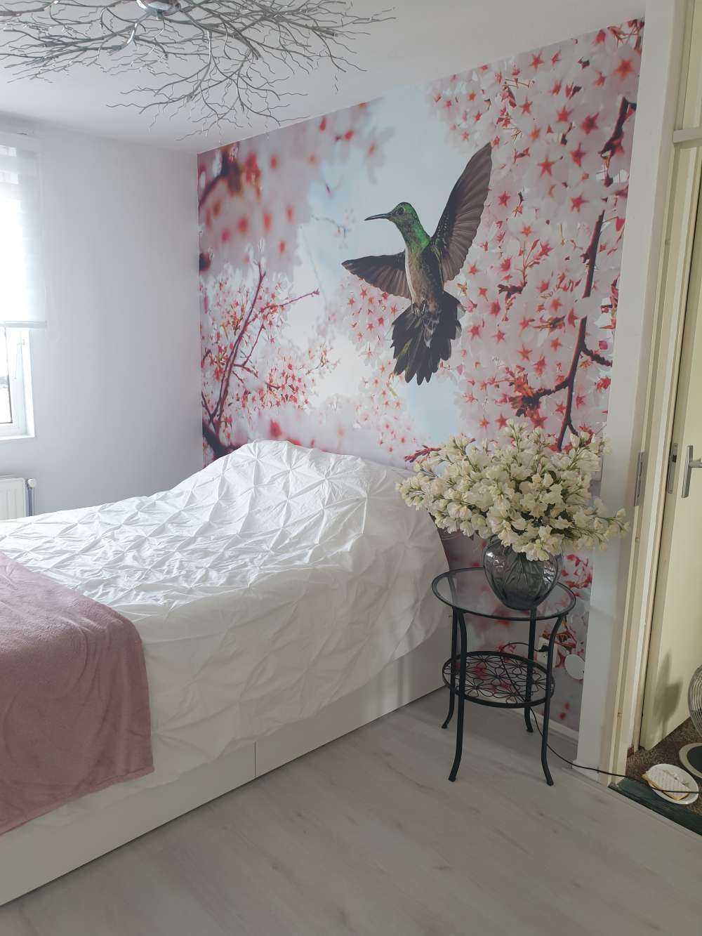 Colibri entre les fleurs