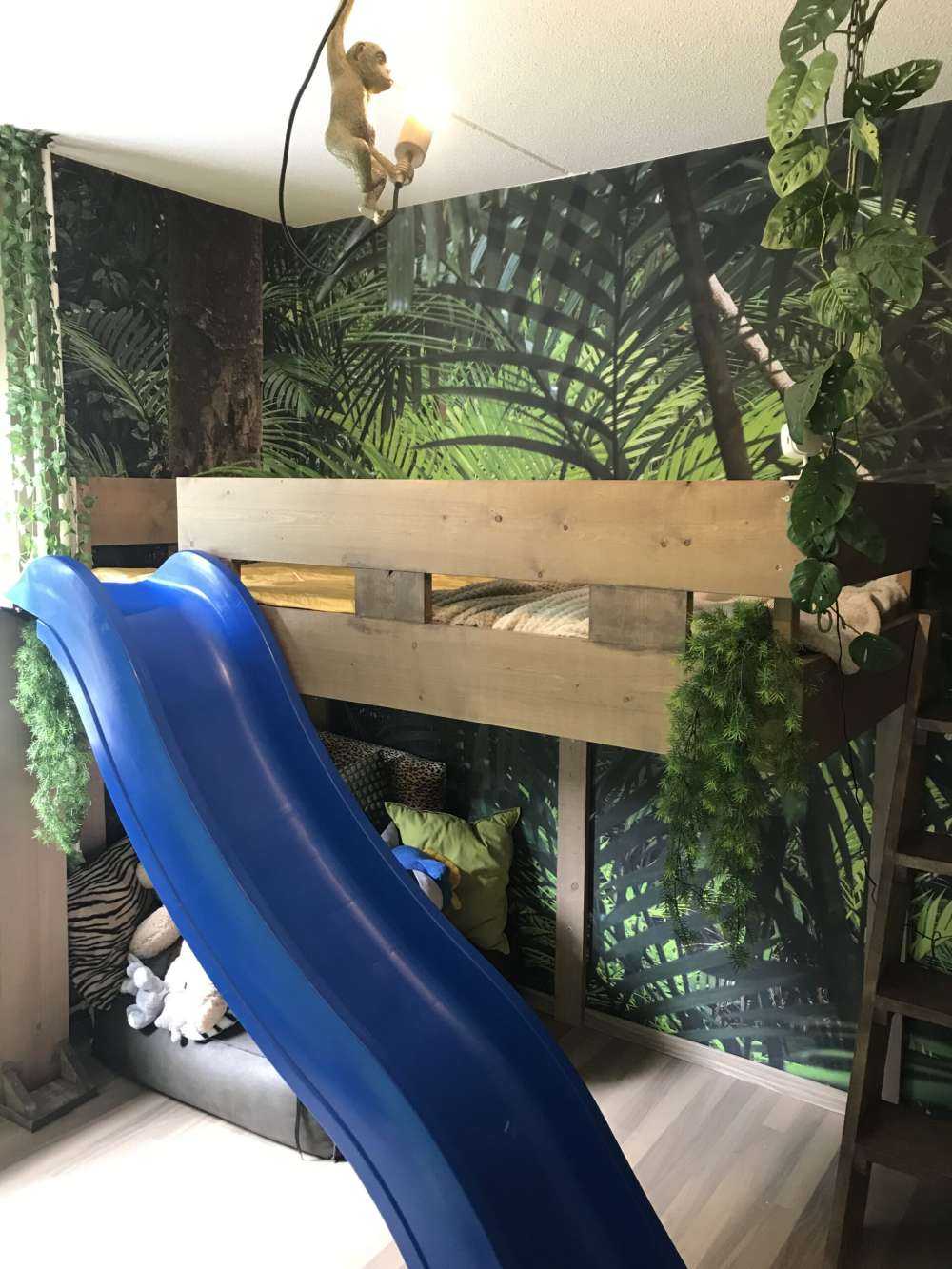 Forêt tropicale humide