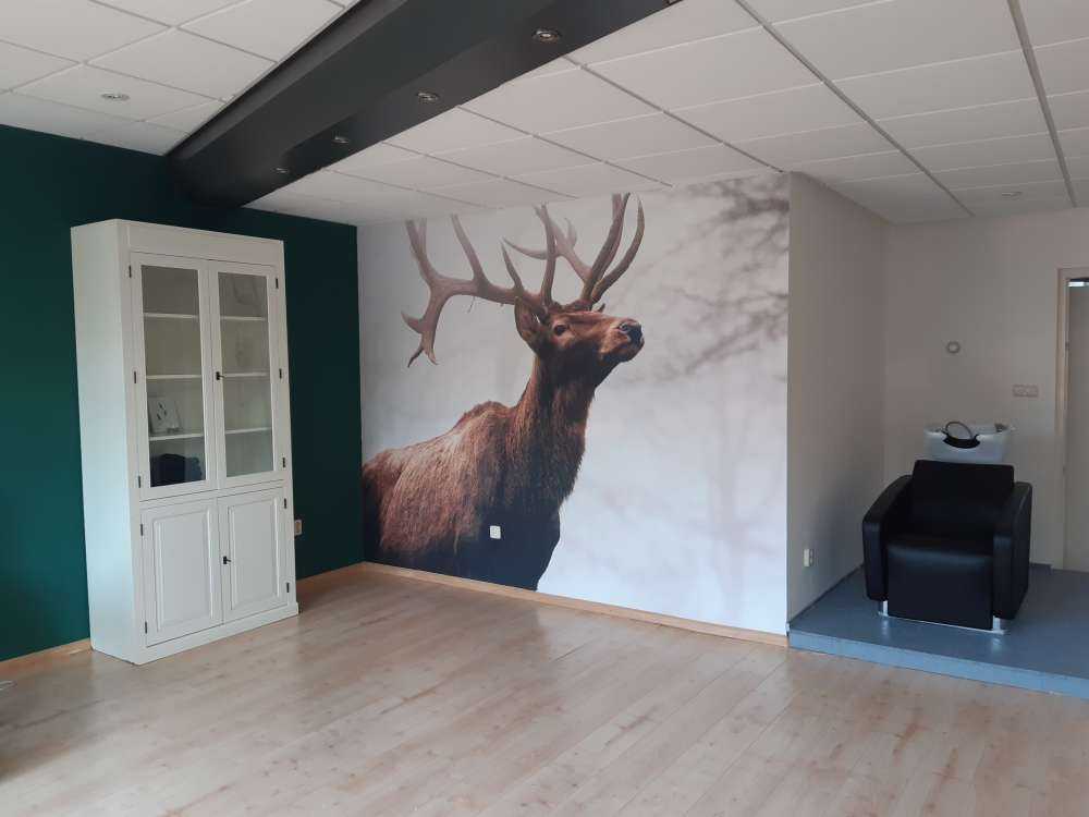 Des rennes dans le brouillard