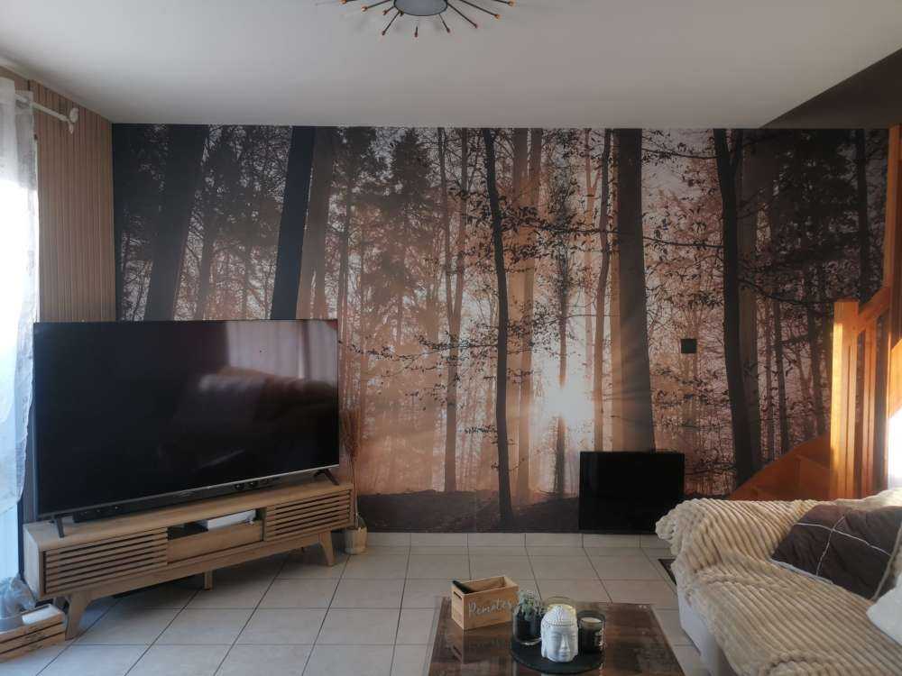 Soleil dans une forêt brumeuse