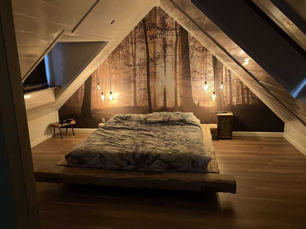 Soleil dans une forêt brumeuse