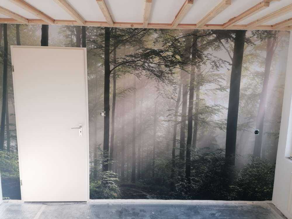 La forêt verte dans le brouillard