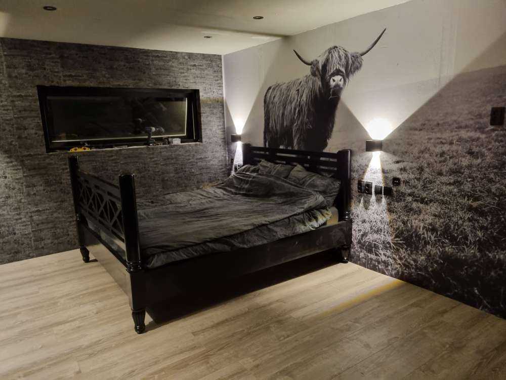 Le Highland écossais dans l'herbe