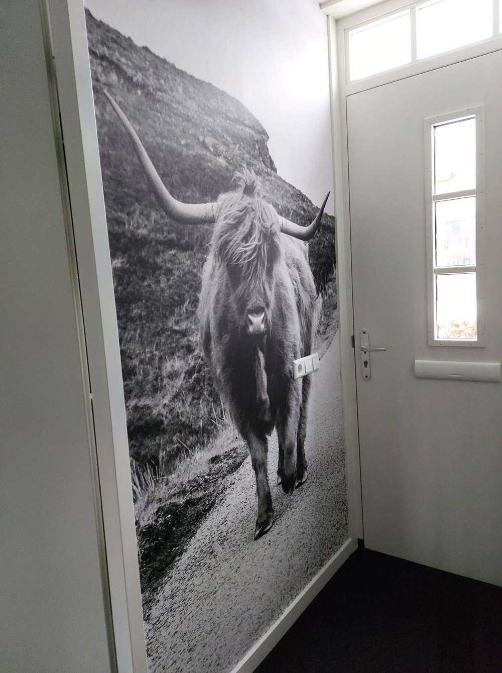 Le Highland écossais sur la route