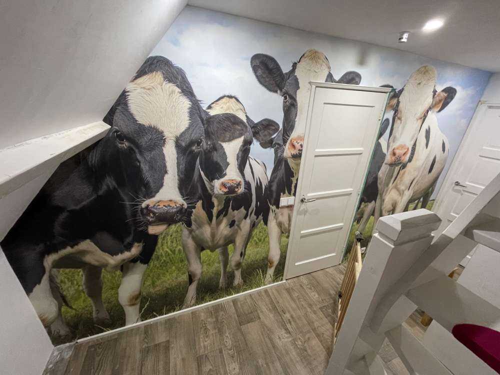 Troupeau de vaches