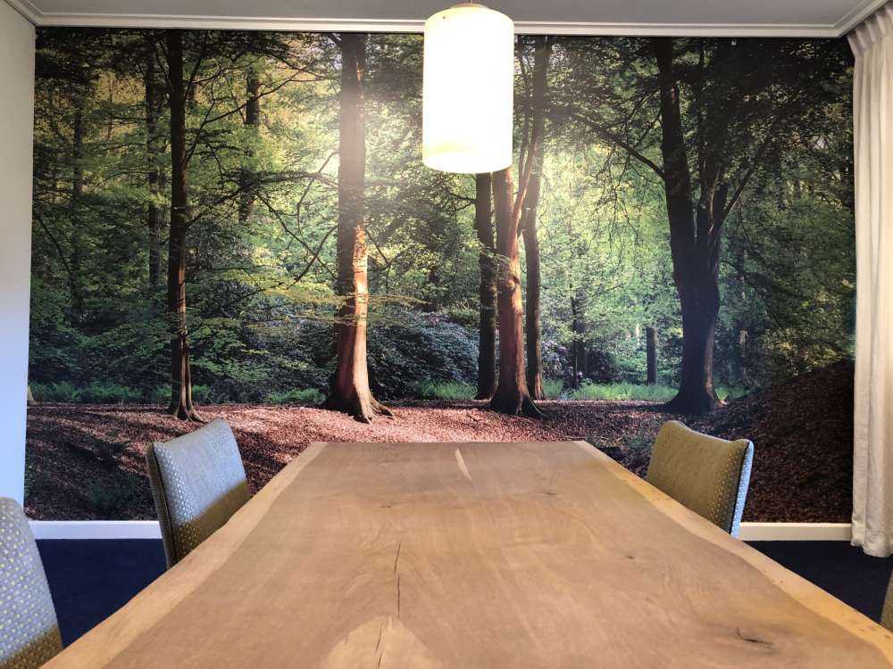 Ruisseau dans la forêt