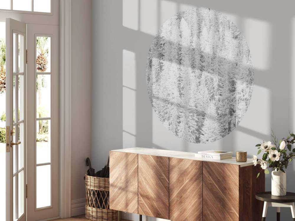 Les conifères en noir et blanc