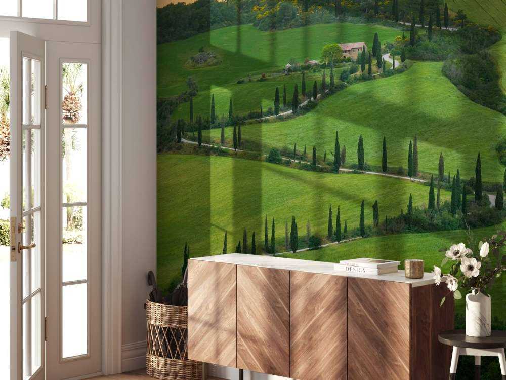 Route sinueuse avec des cyprès