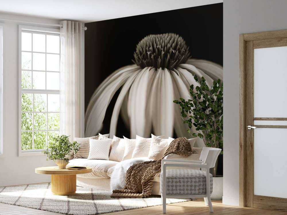 Fleur de cône en gros plan