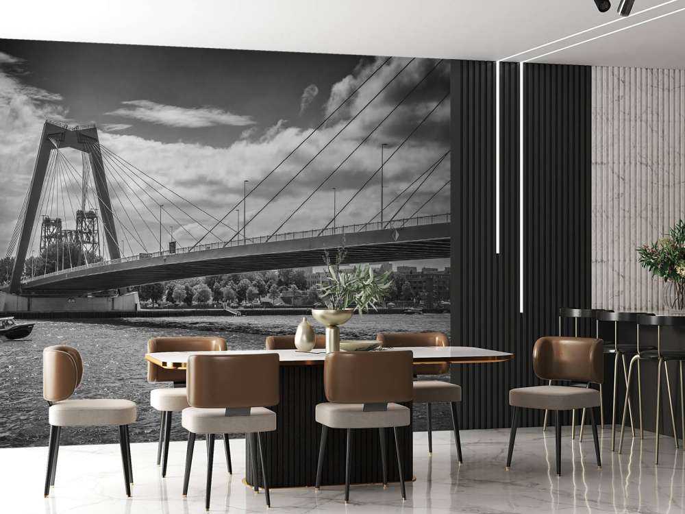 Le passage du pont Prince Willem Alexander à Rotterdam en noir et blanc  