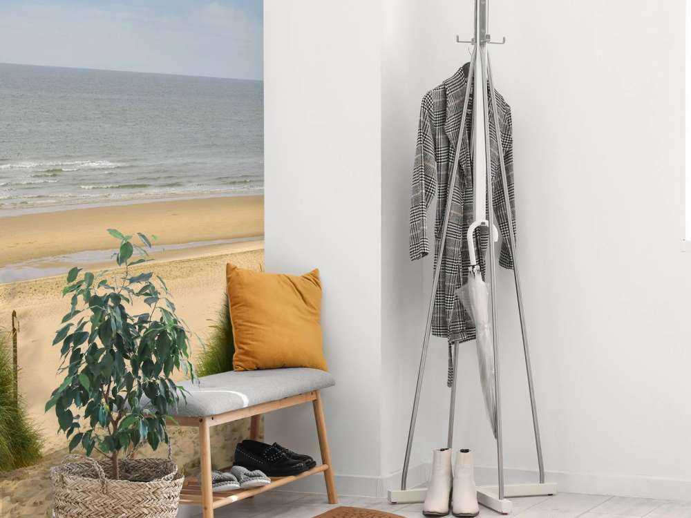 Lever de soleil la côte