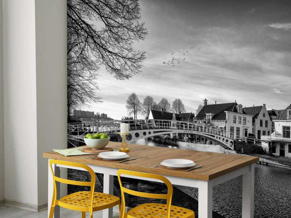 Ville fortifiée de Dokkum Pont sur le Klein Diep Frise 