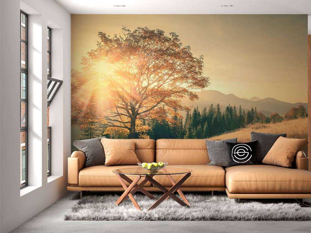 Coucher de soleil dans une vallée