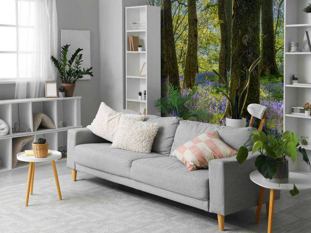 Panorama printanier en forêt