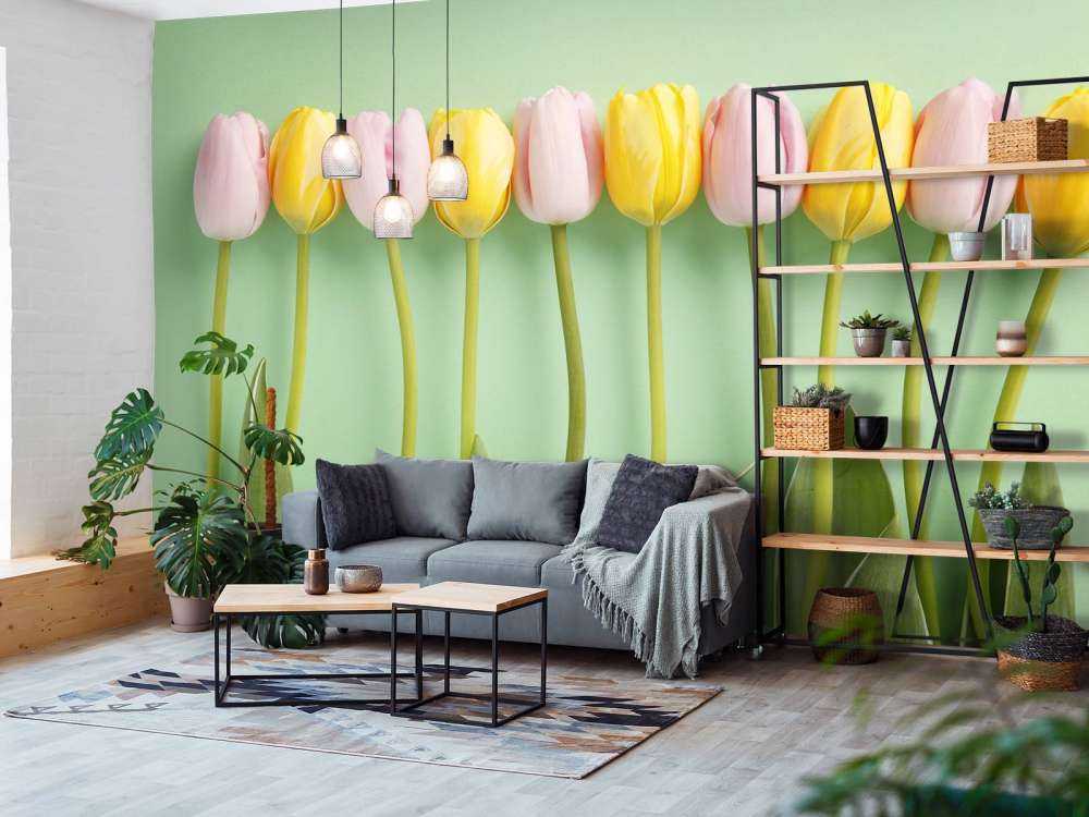 Tulipes sur fond vert menthe