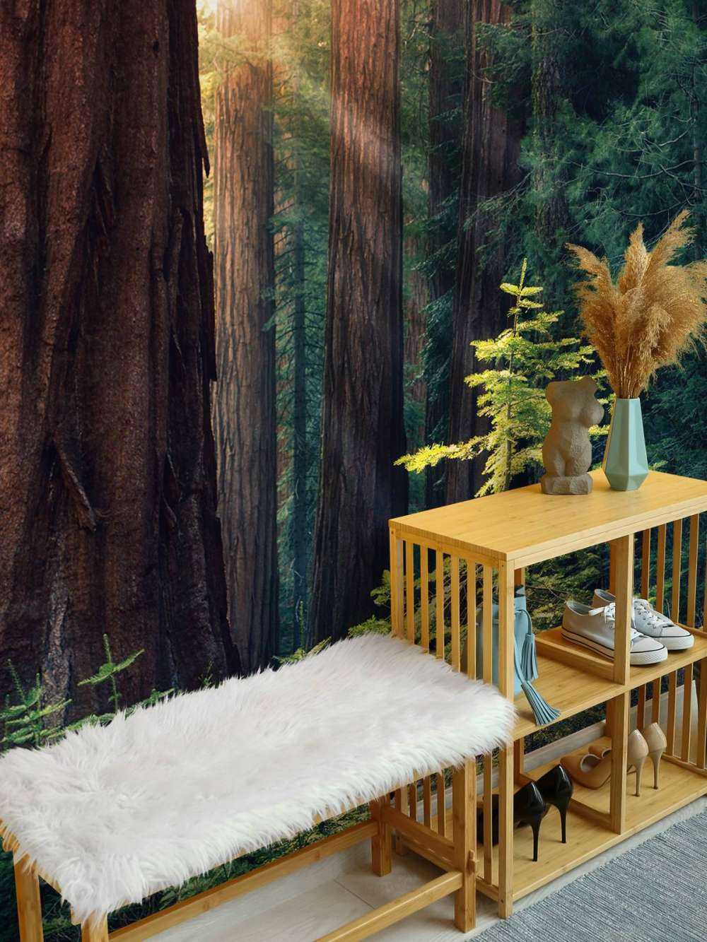 Lumière du soleil entre les acajous