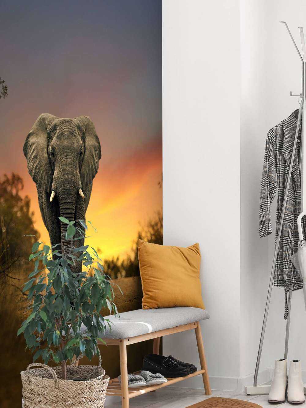 Eléphant au coucher du soleil