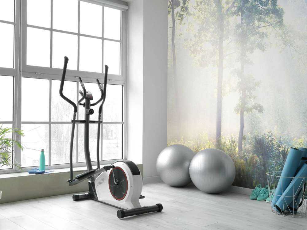 Une forêt mystérieuse