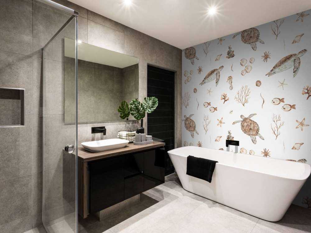 Coquillages et créatures marines