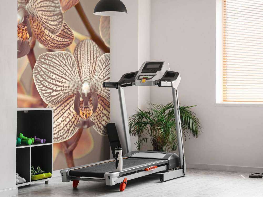 Gros plan d'orchidée