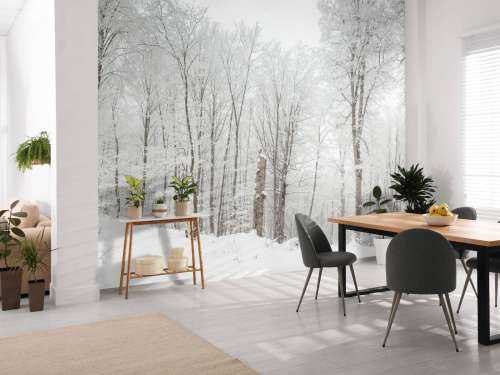 Forêt d'hiver