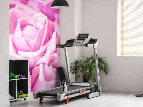 Plusieurs roses roses