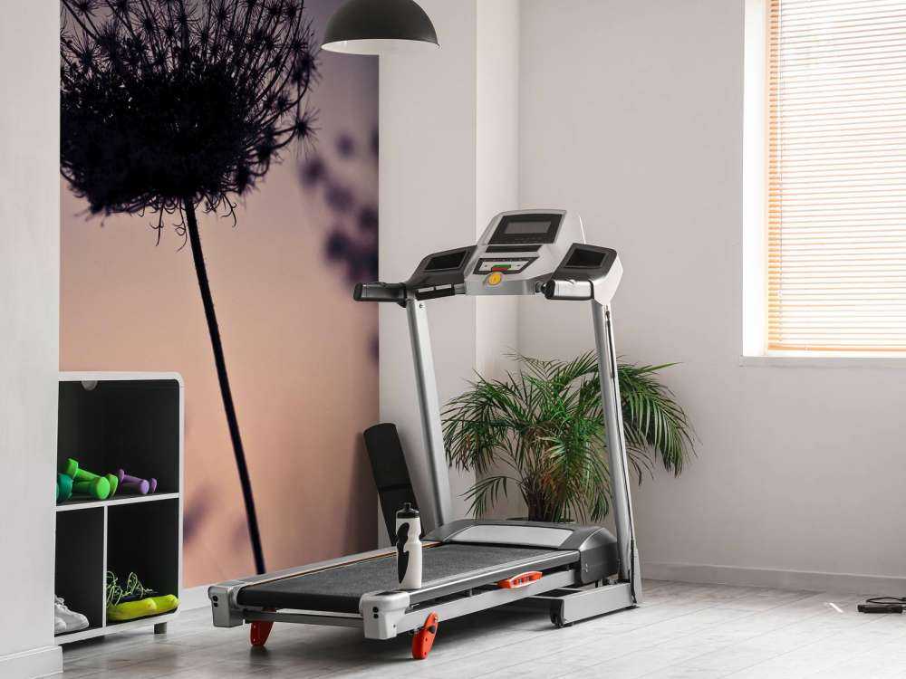 Silhouette de fleurs