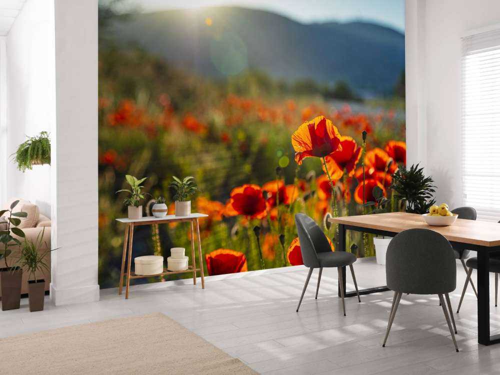 Coquelicots avec rayons de soleil