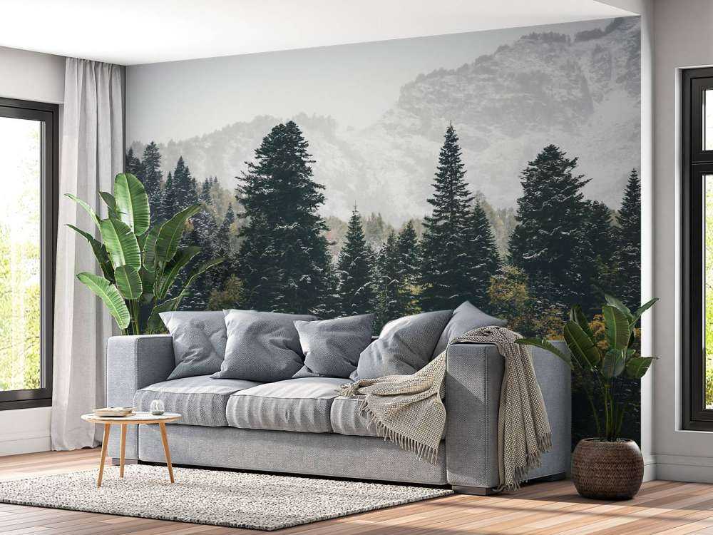 Forêt de conifères