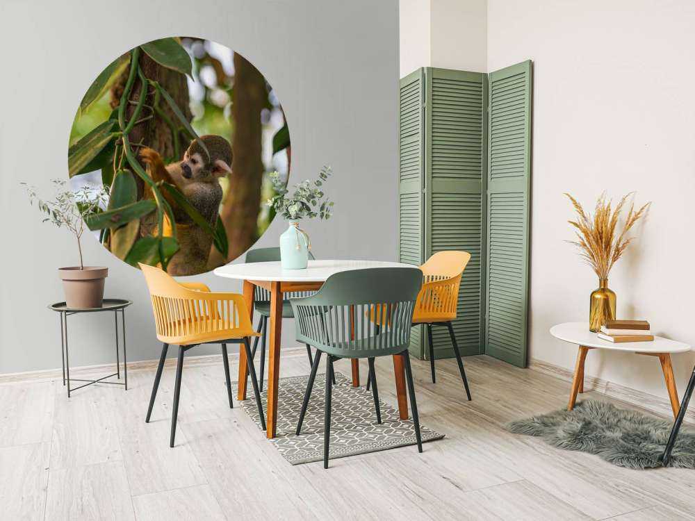 Petit singe dans les arbres