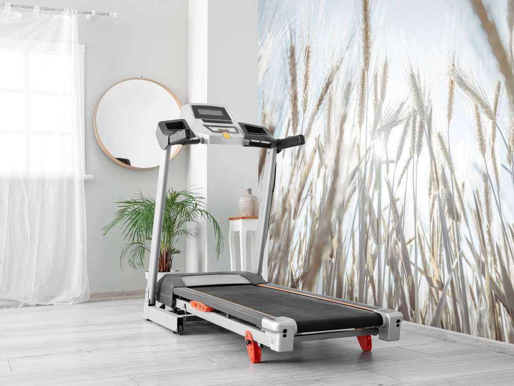 Des rayons de soleil à travers le blé