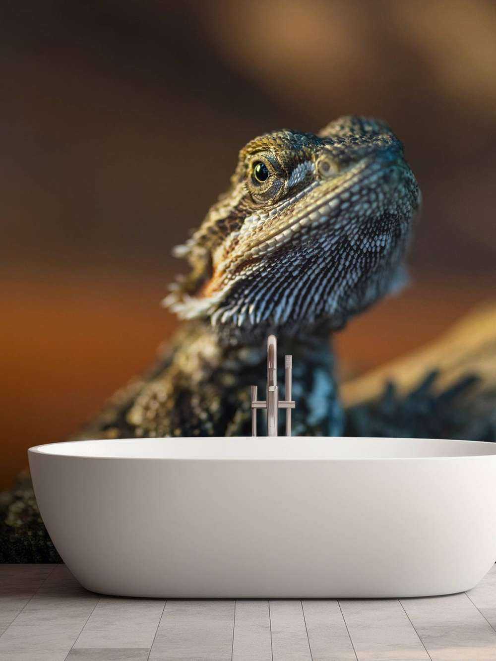 Gros plan d'un caméléon