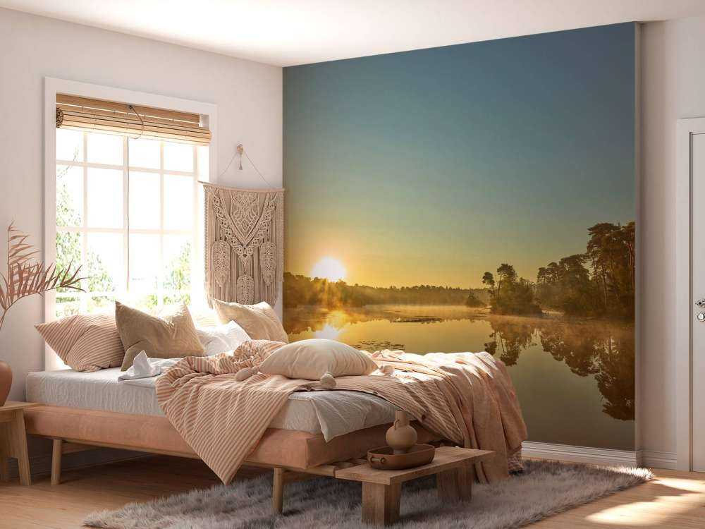 Lever de soleil au lac forestier