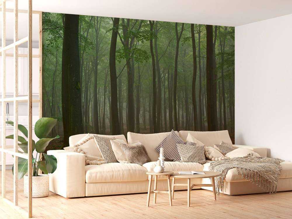 Brouillard dans la forêt