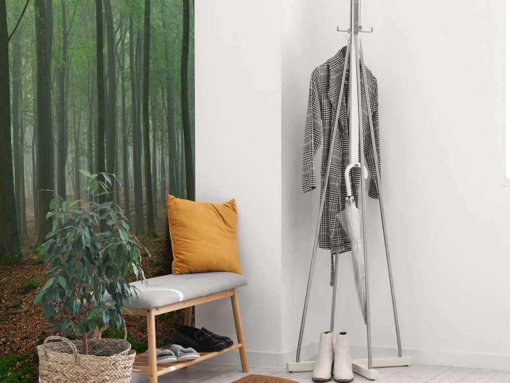 Brouillard dans la forêt