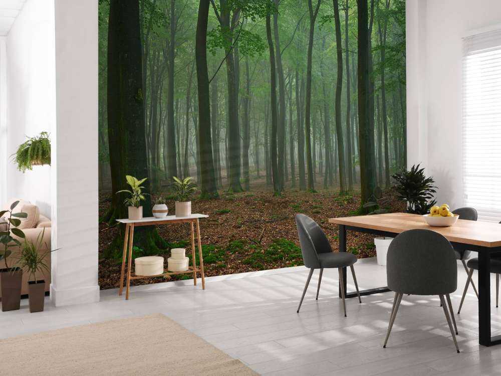 Brouillard dans la forêt