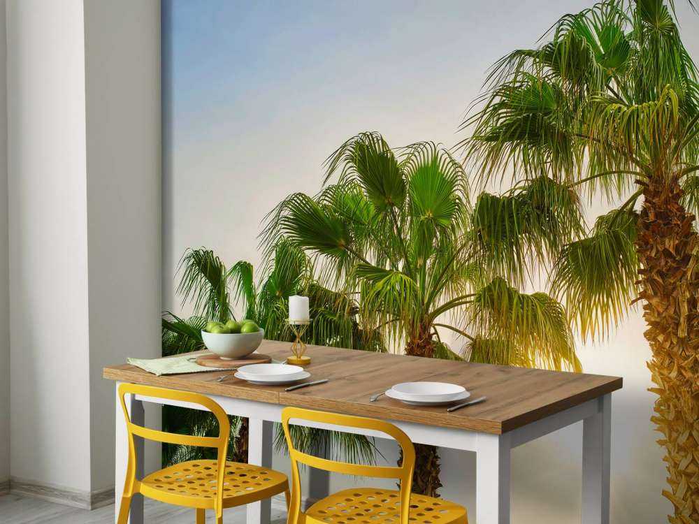 Des palmiers au soleil